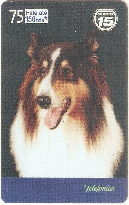 SP-1958 - Dia do Cão - 10/10
