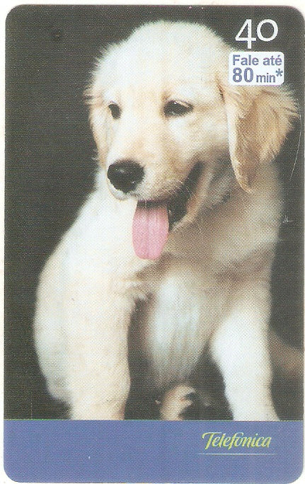 SP-2521 - Filhotes - 07/10 -  B