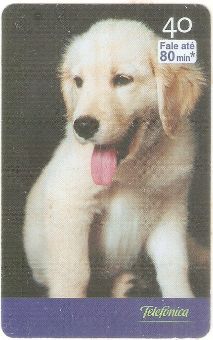 SP-2522 - Filhotes - 07/10 -  C