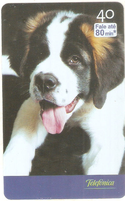 SP-2532 - Filhotes - 10/10 - B