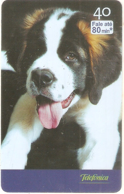 SP-2533 - Filhotes - 10/10 - C