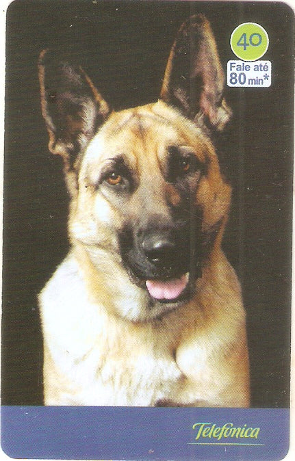 SP-3533 - Cães 2004 - 40 - 01/10