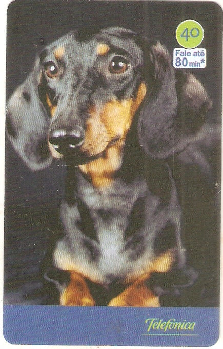 SP-3543 - Cães 2004 - 40 - 06/10