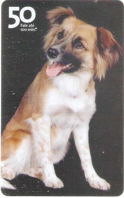 SP07-297 - Vira-Latas - 50 - 02/14