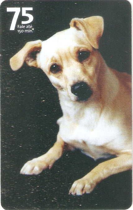 SP07-300 - Vira-Latas - 75 - 05/14