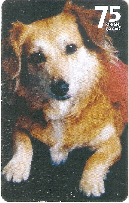 SP07-301 - Vira-Latas - 75 - 06/14