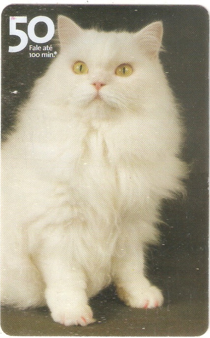 SP07-303 - Vira-Latas - 50 - 08/14