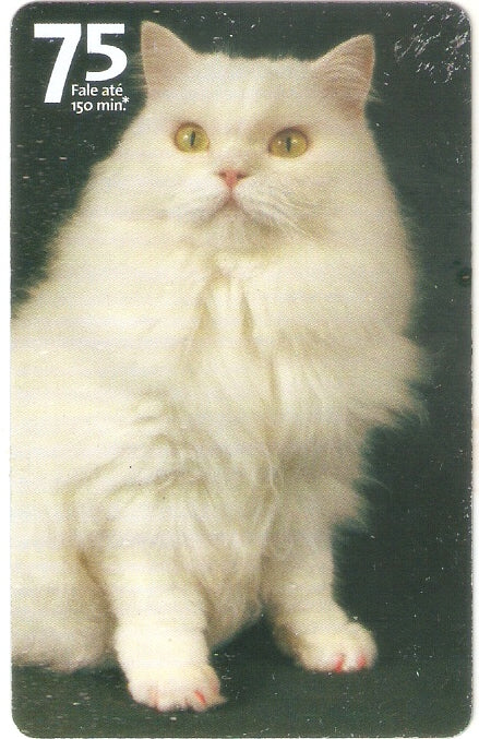 SP07-304 - Vira-Latas - 75 - 08/14