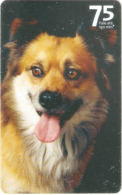 SP07-305 - Vira-Latas - 75 - 10/14