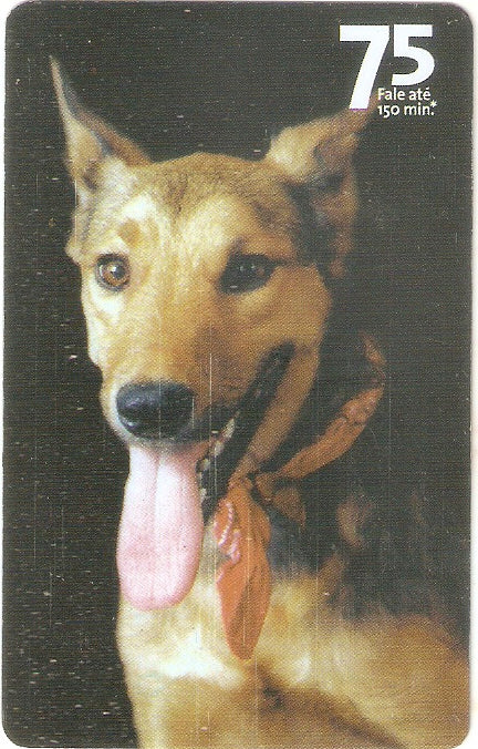 SP07-306 - Vira-Latas - 75 - 12/14