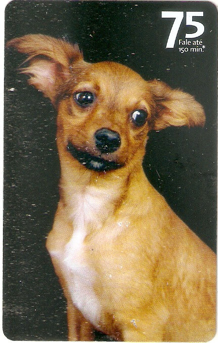 SP07-309 - Vira-Latas - 75 - 13/14