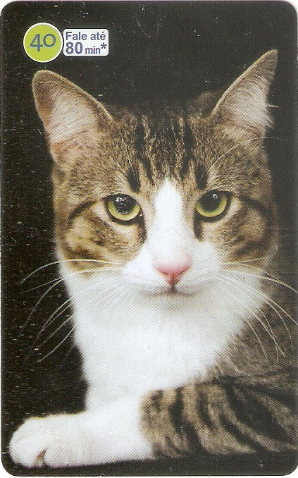 SP07-310 - Vira-Latas - 40 - 14/14