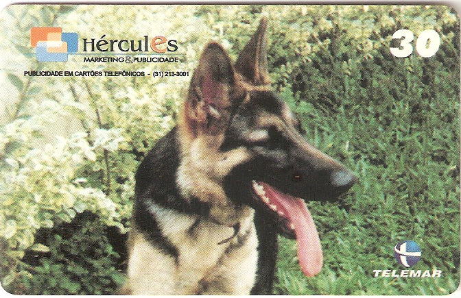 MG-1100 - Animais Doméstico - 1/6