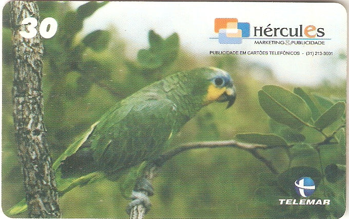 MG-1101 - Animais Doméstico - 2/6