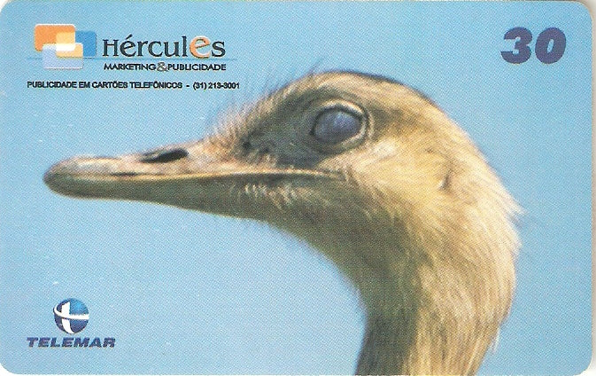 MG-1103 - Animais Domésticos - 4/6