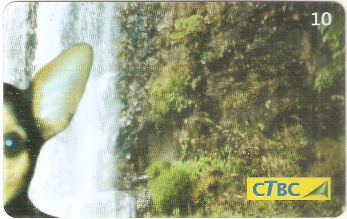 CTBC-T-1121 - Pinscher - 2/4