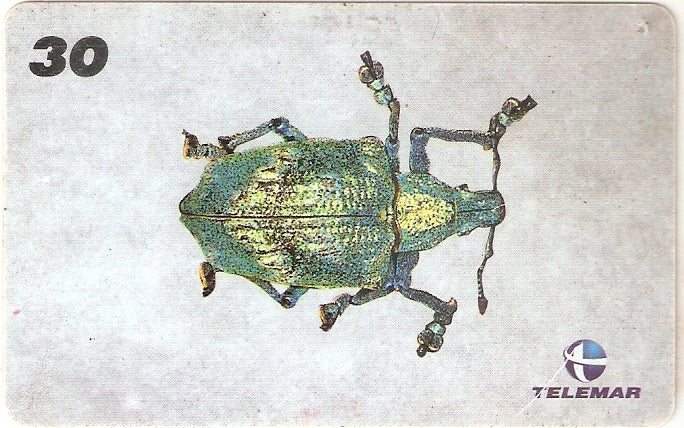 AM-138 - Insetos - 04/21