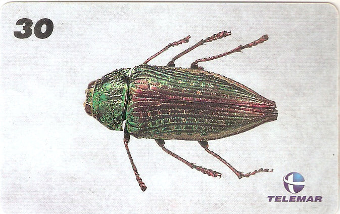 AM-139 - Insetos - 05/21