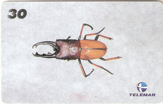 AM-143 - Insetos - 09/21