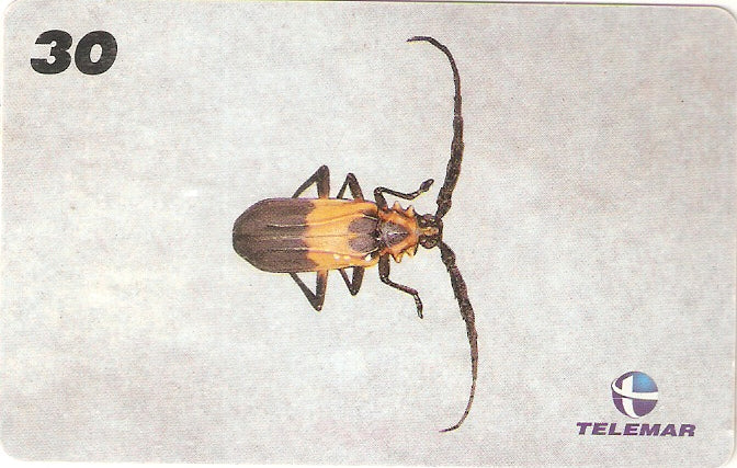 AM-142 - Insetos - 08/21