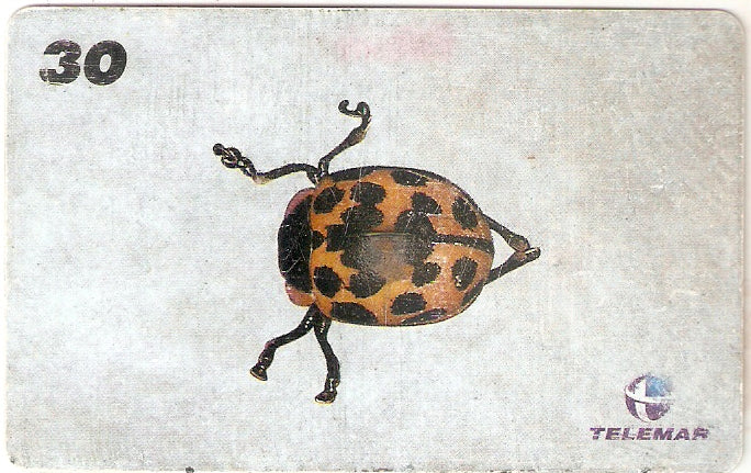 AM-149 - Insetos - 15/21