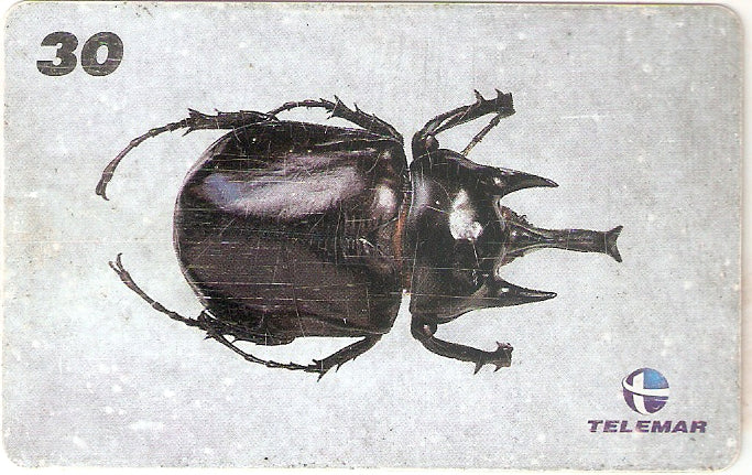 AM-155 - Insetos - 21/21