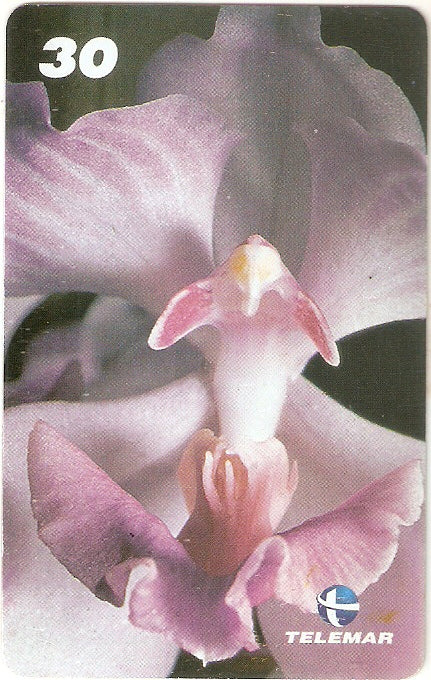 AM-315 - Orquídeas - 1/8