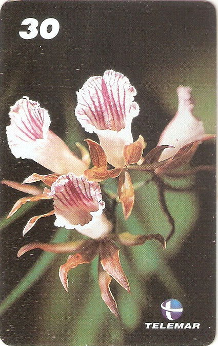AM-318 - Orquídeas - 4/8