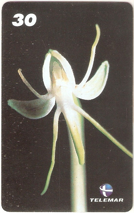 AM-319 - Orquídeas - 5/8