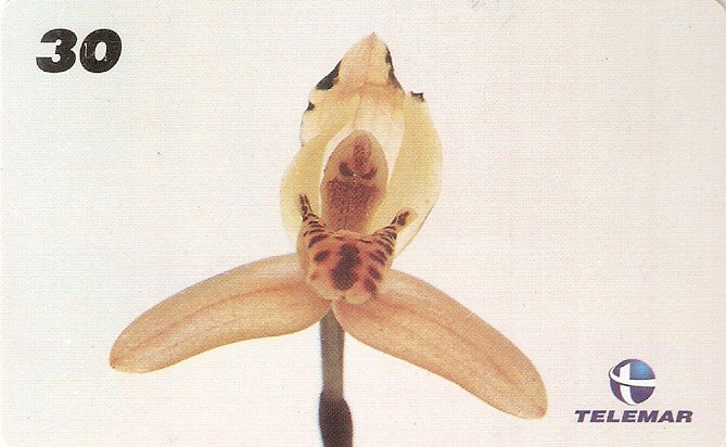 AL-081 - Orquídeas Nativas - 1/4