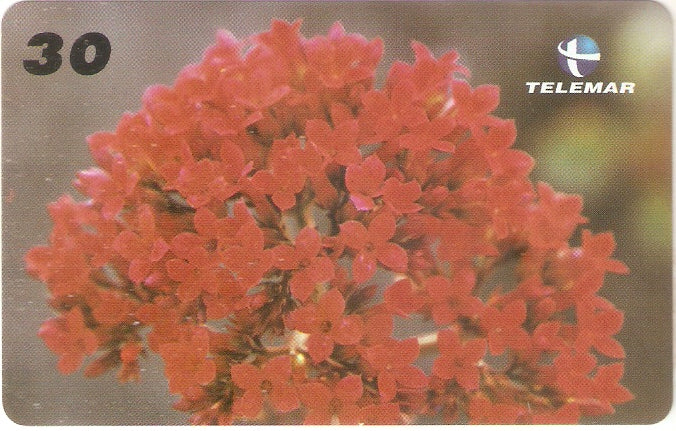 PB-052M - Flores - 02/15