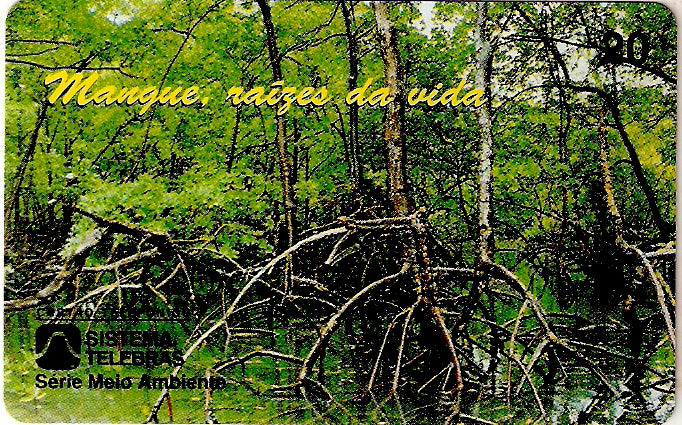 PE-025M - Raízes da Vida