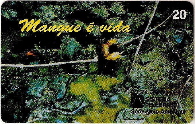 PE-026M - Mangue é Vida