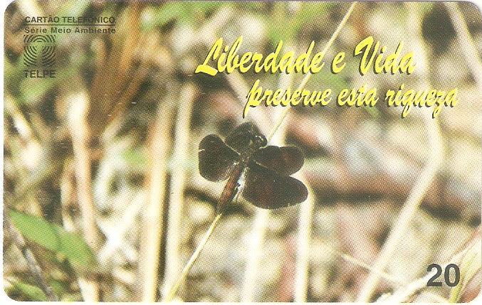 PE-028M - Libélula