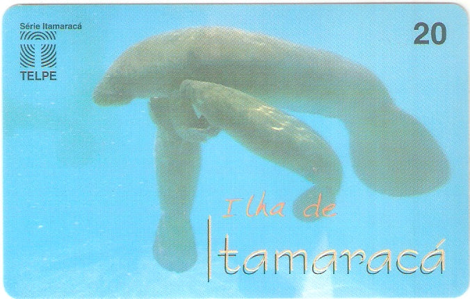 PE-043M - Filhote de Peixe-Boi