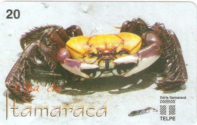 PE-101M - A Vida no Mangue