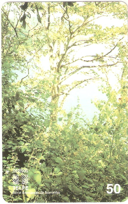 PE-129M - Pernambuco - 50