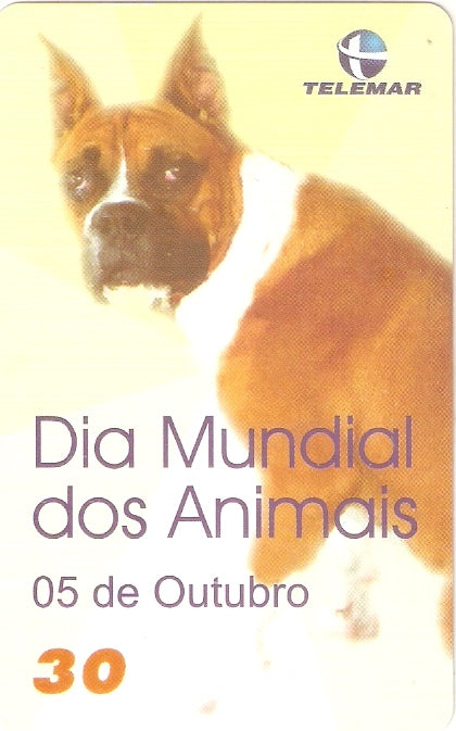 PE-255M - Dia Mundial dos Animais
