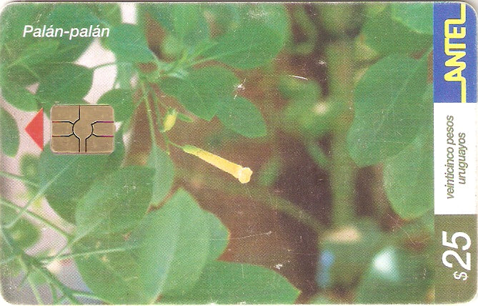 URU-C-231a - Palán-palán