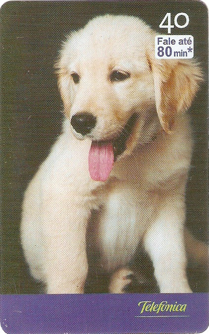 SP-2522a - Filhotes - 07/10 -  D