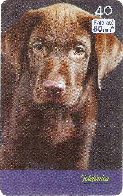 SP-2525 - Filhotes - 08/10 - C