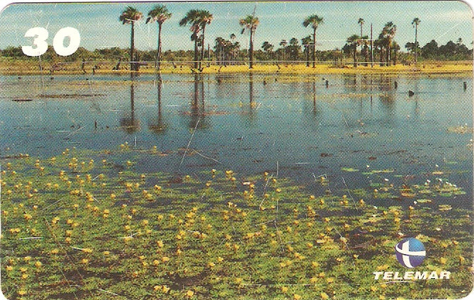 RR-048 - Buritizais nos Lagos Naturais