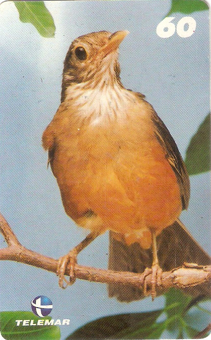 AP-027 - Sabiá Laranjeira