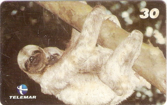 AP-056 - Preguiça