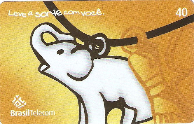 MSC05-11 - Sorte - 2/6