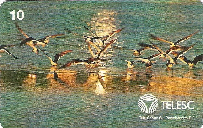 SC-107M - Aves