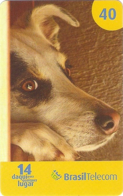 SCC07-38 - Cães - 1/2