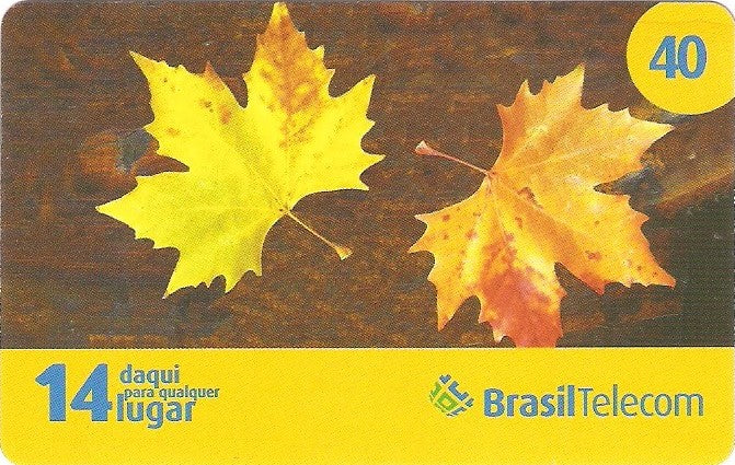 GOC08-10 - Outono - 2