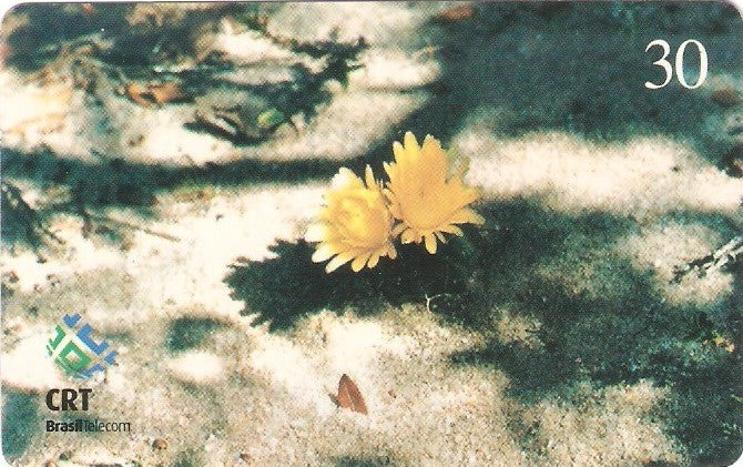 RS-0383 - Série Ecológica - 12/12