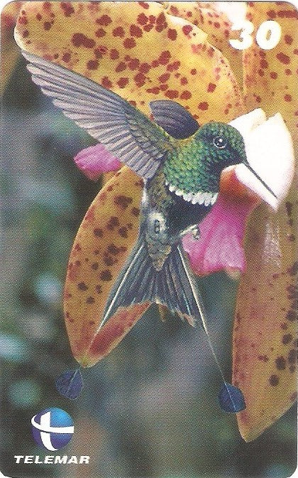 ES-073M - Beija-flores 3 - 3/4